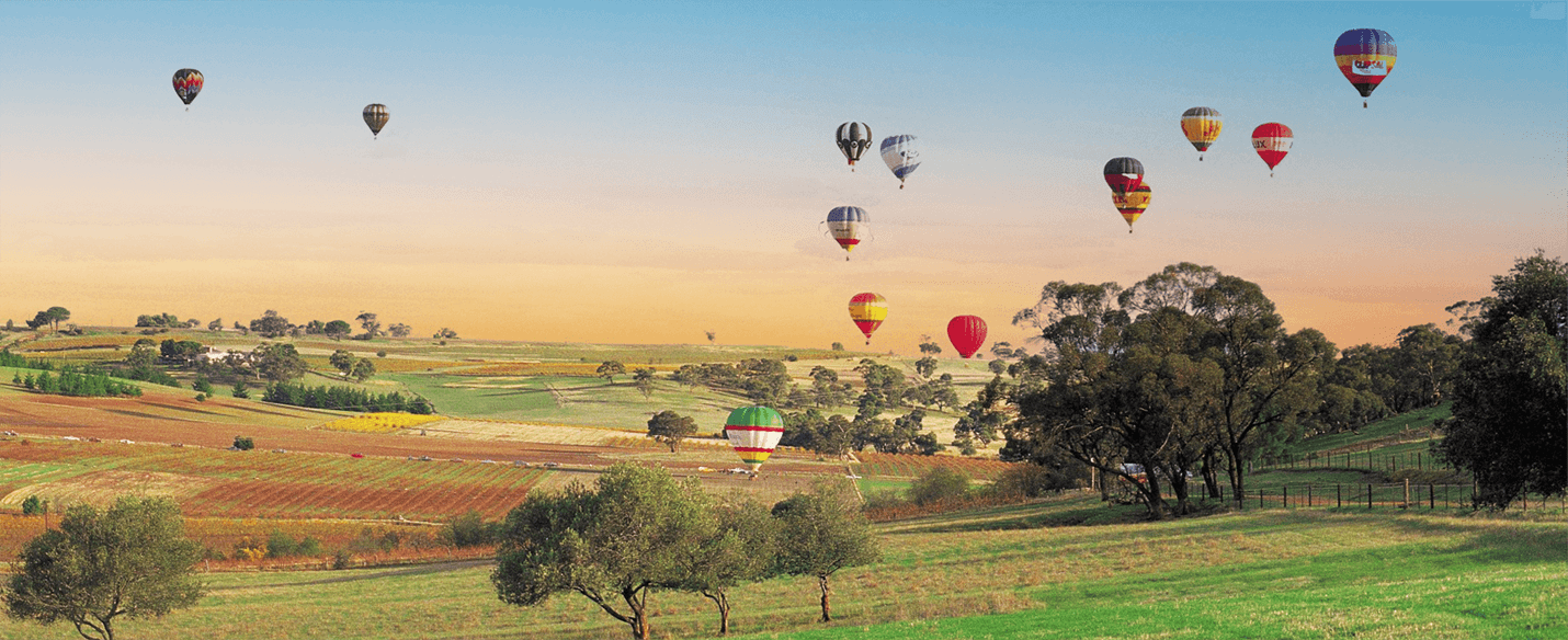 Hot Air Balloons over Barossa Valley